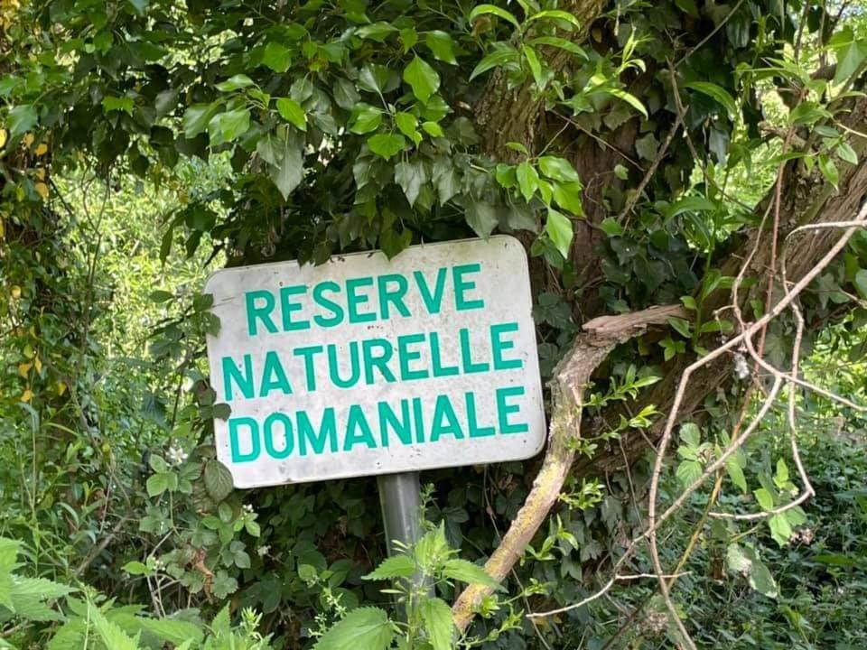 La Vallee Seneffe Luaran gambar